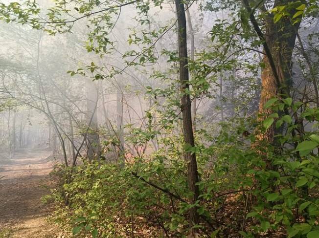 L'incendio in via Campirolo a Vergiate