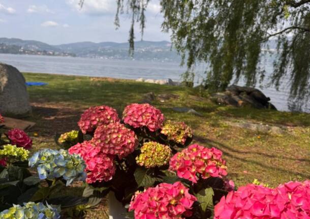 Oltre 6.000 visitatori per “Artigiani in Fiore”: il lungolago di Ispra fa il pieno