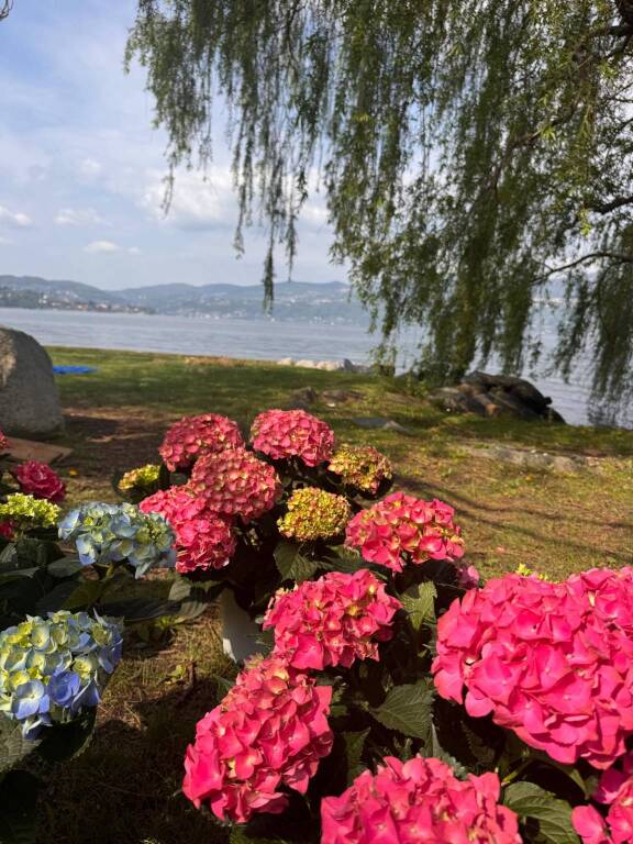 Oltre 6.000 visitatori per "Artigiani in Fiore": il lungolago di Ispra fa il pieno