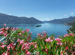 Ronco Sopra - ph. Alessio Pizzicanella