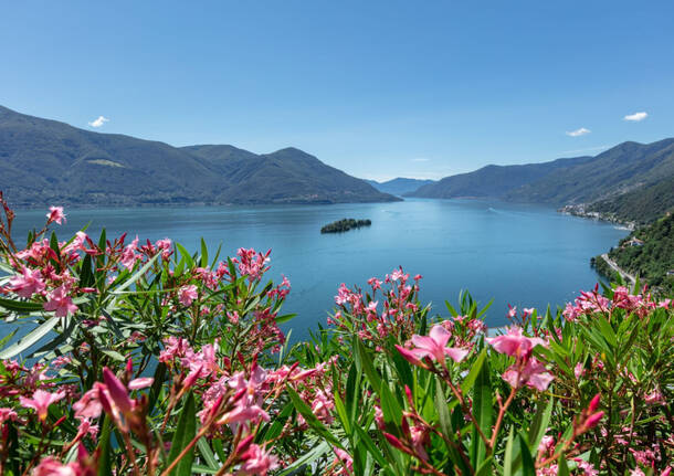 Ronco Sopra - ph. Alessio Pizzicanella