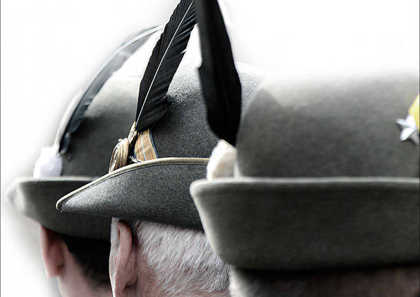 Alpini generico