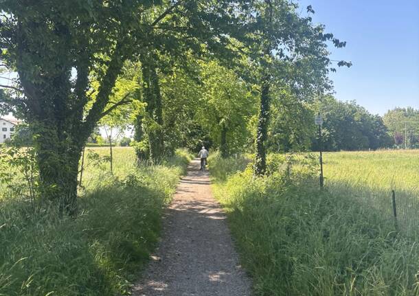 Diagonale lombarda: bici Lago Maggiore Po ciclabile