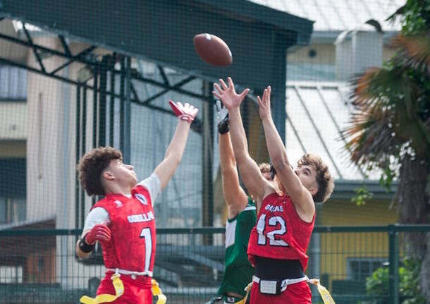 gorillas flag football 2026