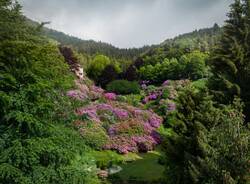 Oasi Zegna in fiore
