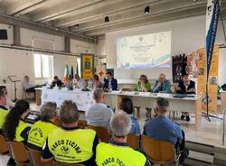 velability sesto calende