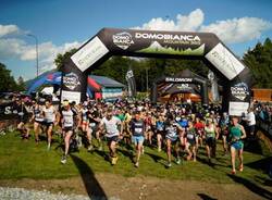 vertical race domobianca