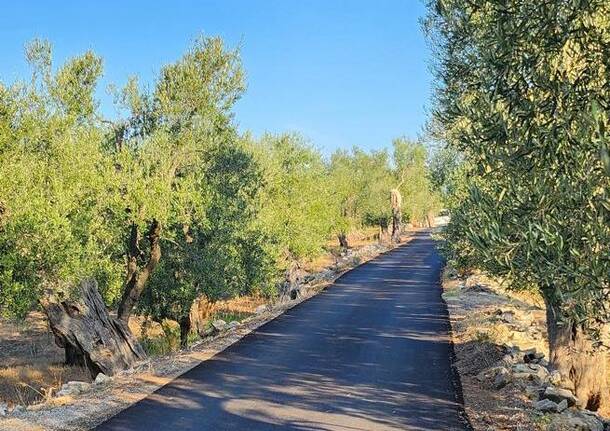 cammino di don tonino
