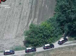 carabinieri novara boschi blitz 