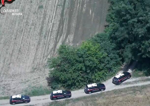 carabinieri novara boschi blitz 