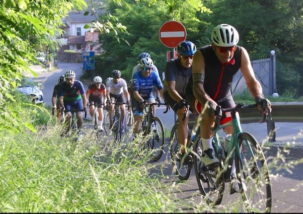 Sui \"muri\" della Varese Van Vlaanderen