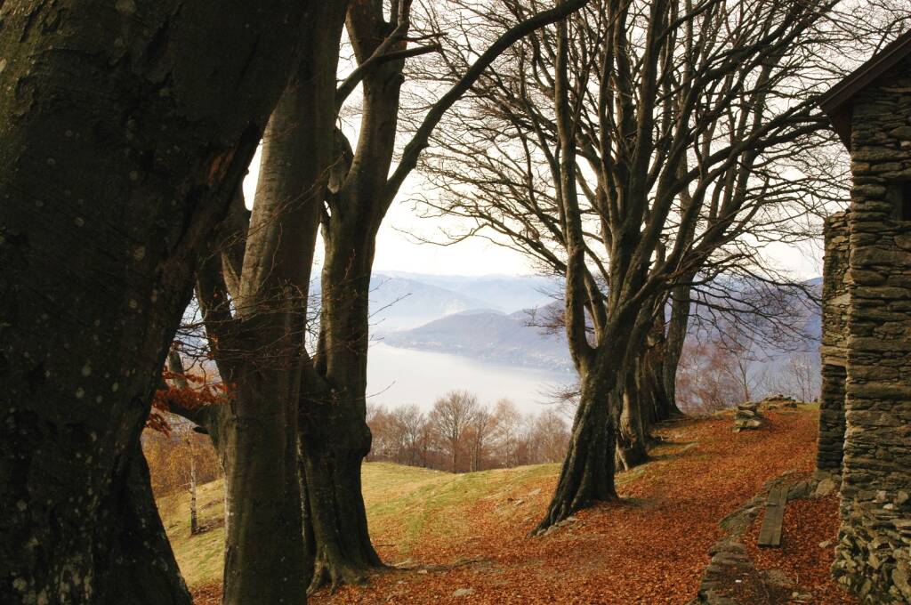 La Veddasca e la sua natura