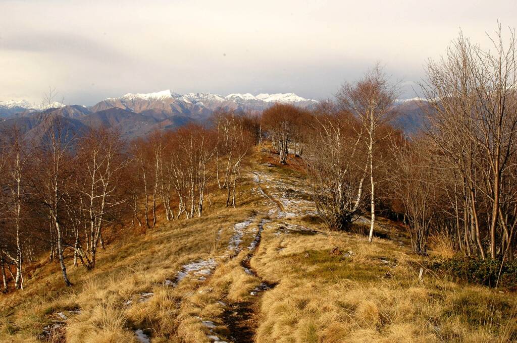 La Veddasca e la sua natura