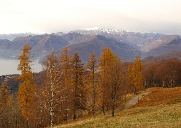 La Veddasca e la sua natura