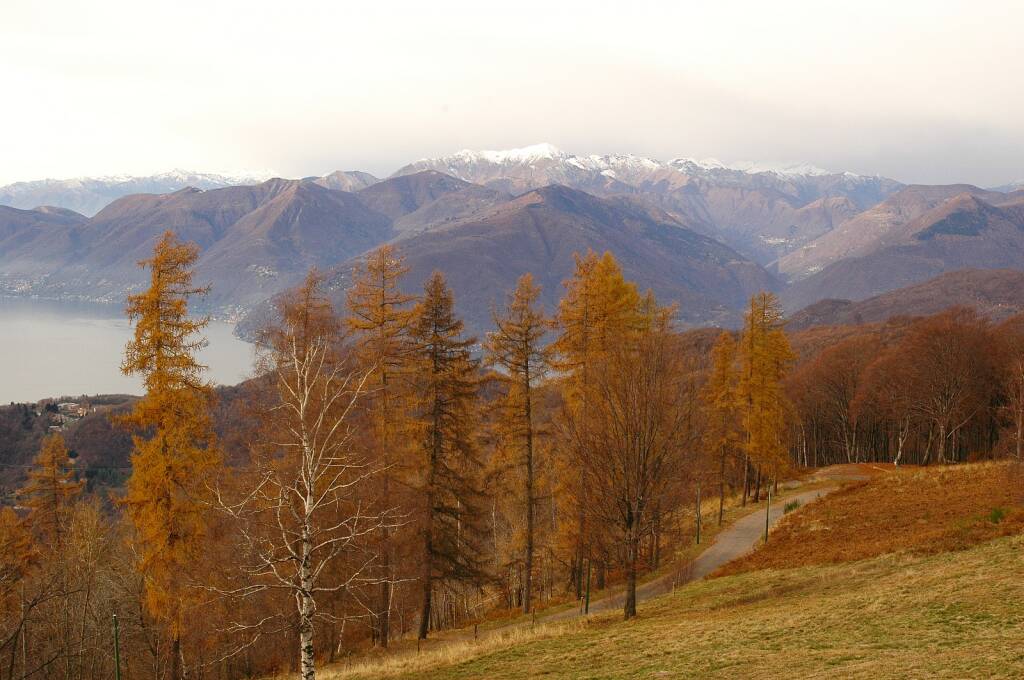 La Veddasca e la sua natura