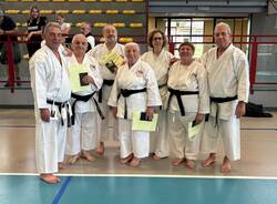 karate evergreen csk busto