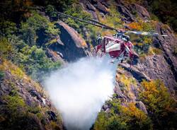 canadair 