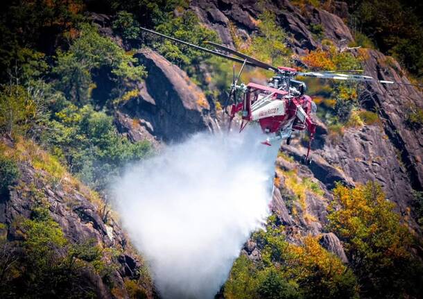 canadair 