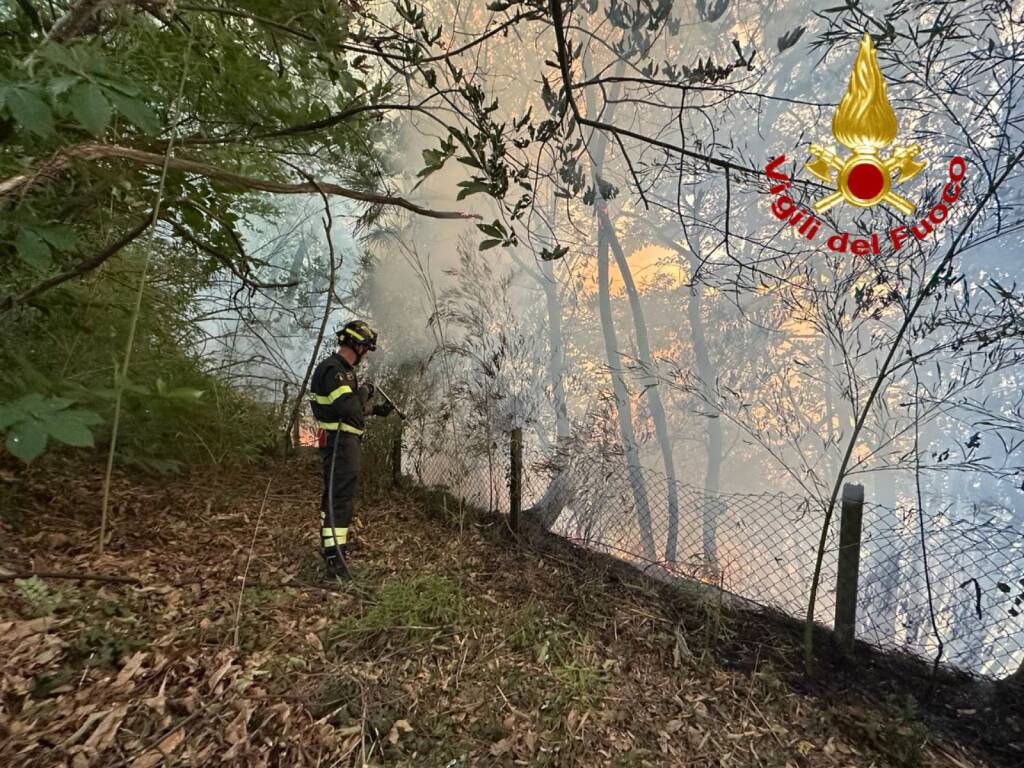 Incendio sul monte Cellina a Leggiuno