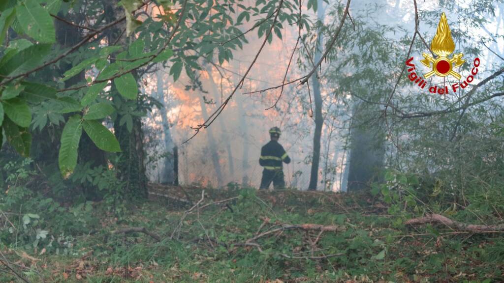 Incendio sul monte Cellina a Leggiuno