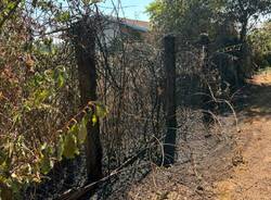 L\'incendio boschivo di Mornago domato dalle squadre Aib della Provincia di Varese