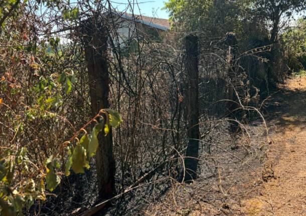 L\'incendio boschivo di Mornago domato dalle squadre Aib della Provincia di Varese