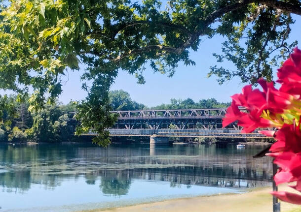 foto del giorno 14 luglio 2026 ponte sesto calende| maria canalicchio