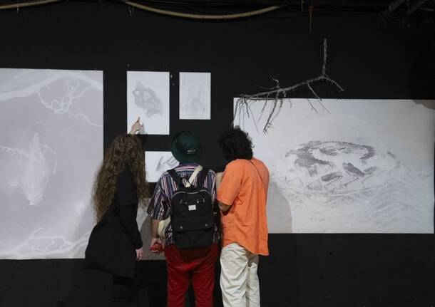 insight photo festival