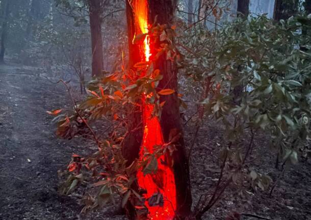 incendi