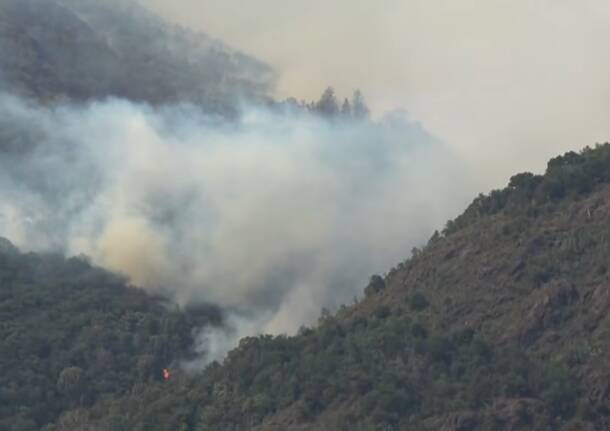 incendio colloro