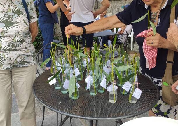 A trillion tree: la mostra di Martina Forni che parla di alberi e umani