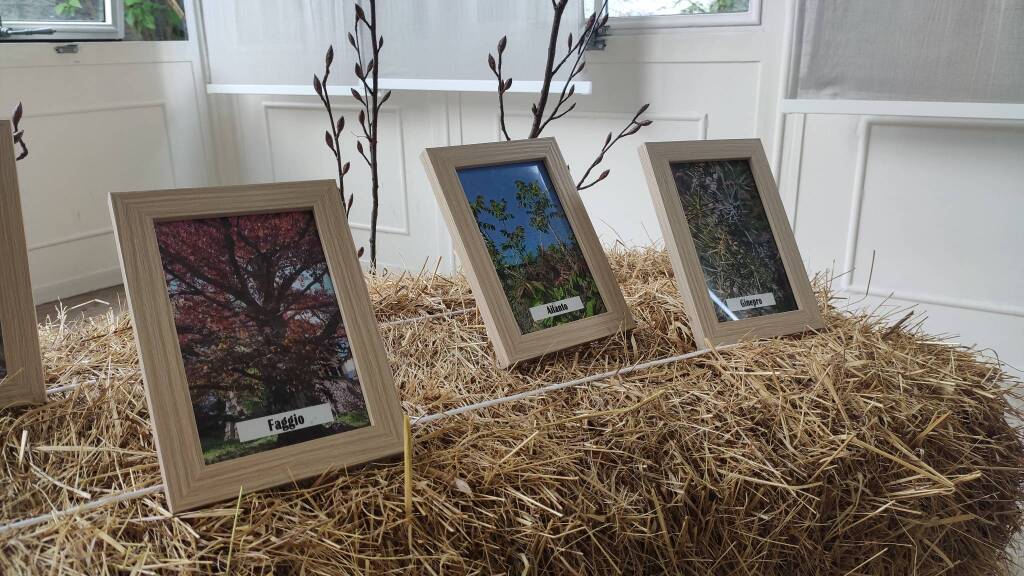 A trillion tree: la mostra di Martina Forni che parla di alberi e umani