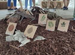 A trillion tree: la mostra di Martina Forni che parla di alberi e umani