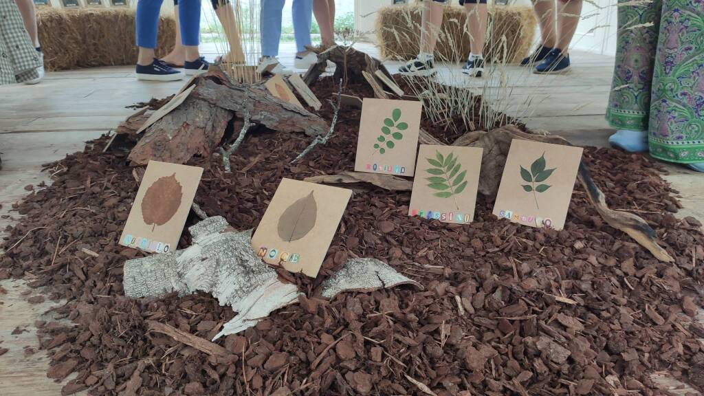A trillion tree: la mostra di Martina Forni che parla di alberi e umani