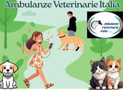 Ambulanze veterinarie