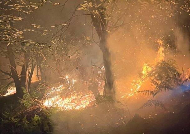 Notte di incendi nel Verbano Cusio Ossola