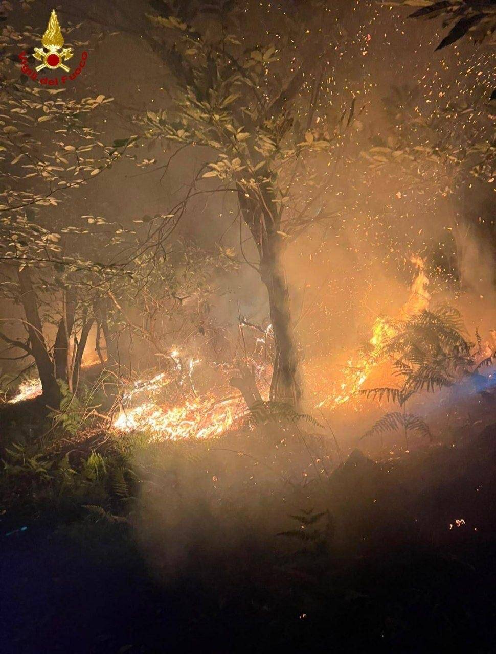 Notte di incendi nel Verbano Cusio Ossola