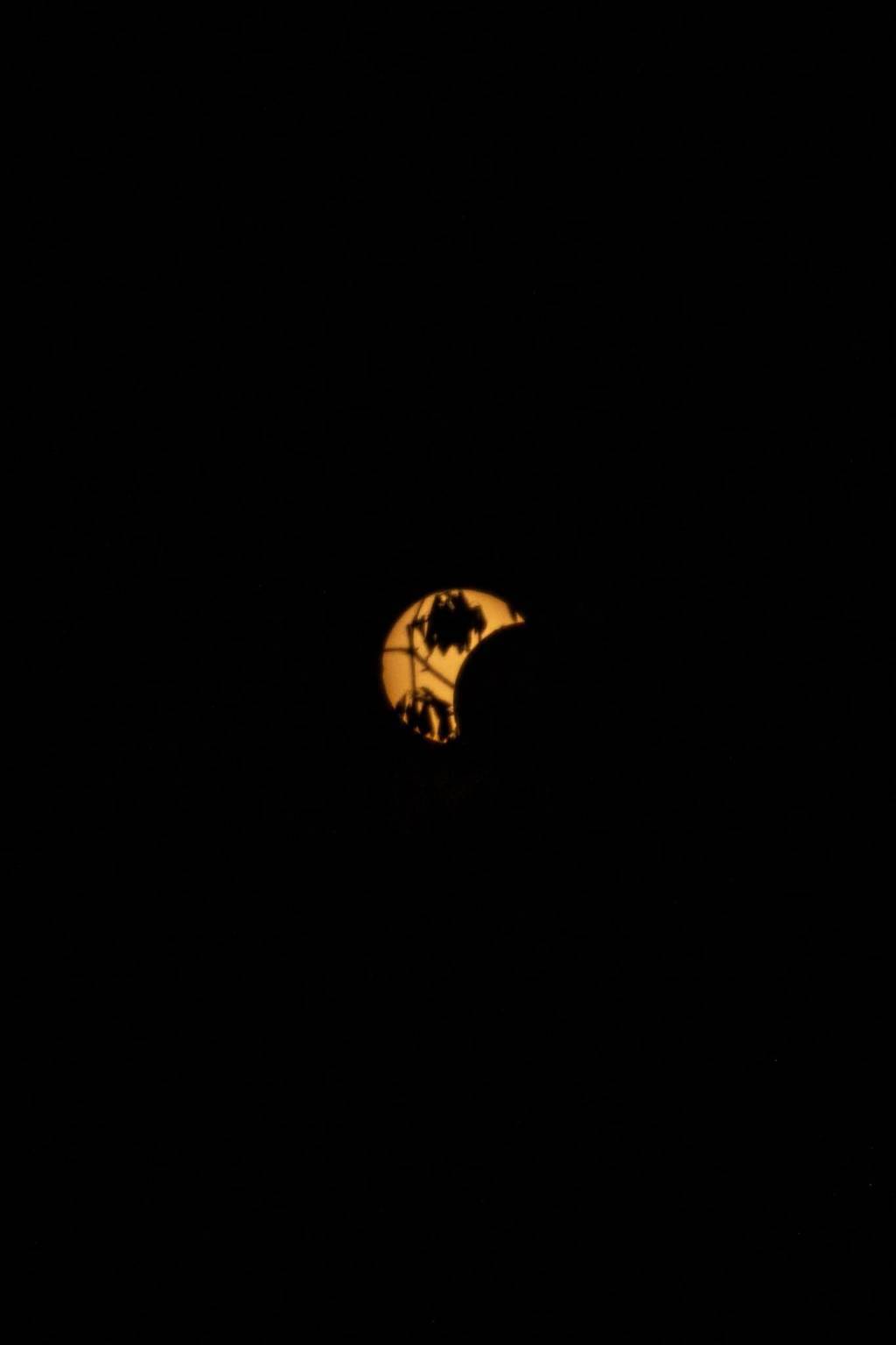 eclissi di sole