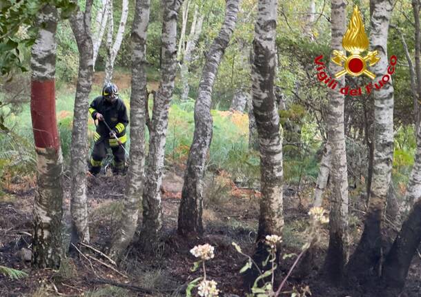 incendio vettura a maccagno