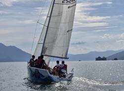 avav liceo cavallari luino parabiago 
