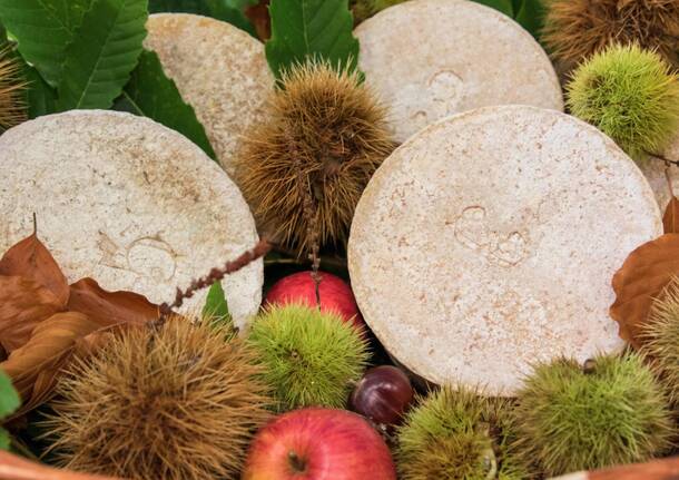BiancoLatte torna a Crodo: due giorni tra Bettelmatt, produttori e tradizioni dell'Alta Ossola
