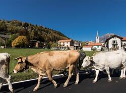 BiancoLatte torna a Crodo: due giorni tra Bettelmatt, produttori e tradizioni dell'Alta Ossola