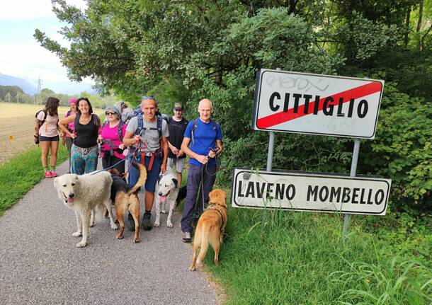 Cuveglio - Arrivo traversata alpina con i cani