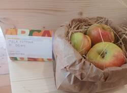 mela poppina slow food