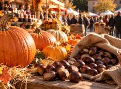 autunno zucche castagne