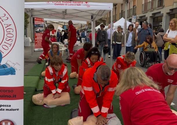 Luinodivino corso BLS