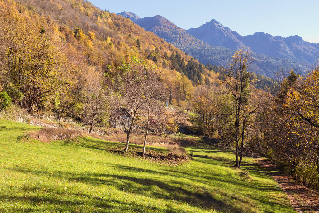 Mele, miele e storie di montagna: a Baceno è autunno con MeleMiele