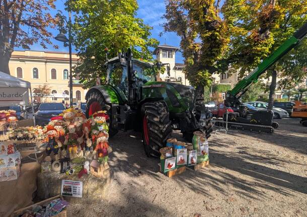 Tradizione e giovani, Agrivarese arriva ad Angera